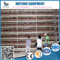 H frame automatic chicken cage for sale/poultry layer cage equipment